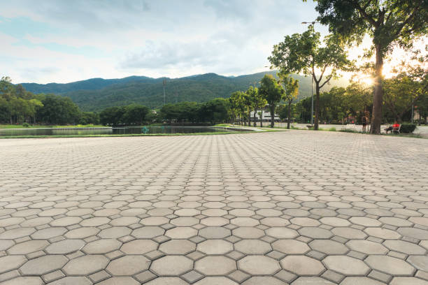 Best Residential Paver Driveway  in Chadwicks, NY